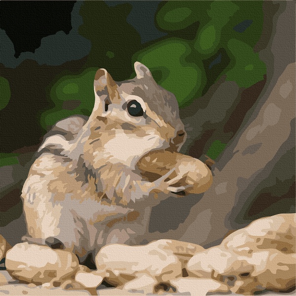 Картина за номерами Кроха бурундук 11610-AC 40х50 см ArtCraft 