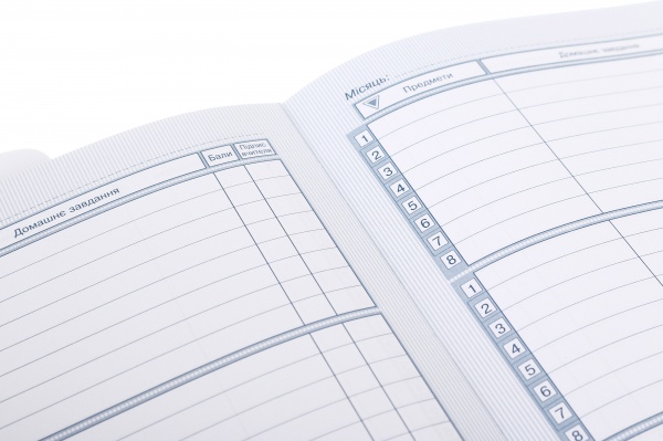 Дневник SD1611 167х211 мм 48 листов Bourgeois