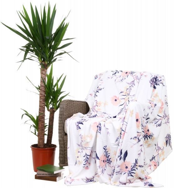 Плед Floral 200x220 см білий із принтом La Nuit 