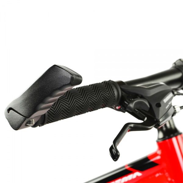 Велосипед детский RoyalBaby MTB 1.2 красный RB24-10-RED