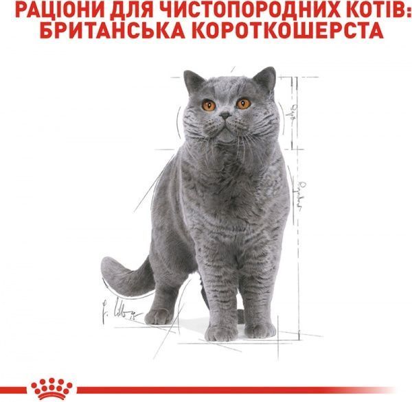 Корм Royal Canin British Shorthair Adult 85 г