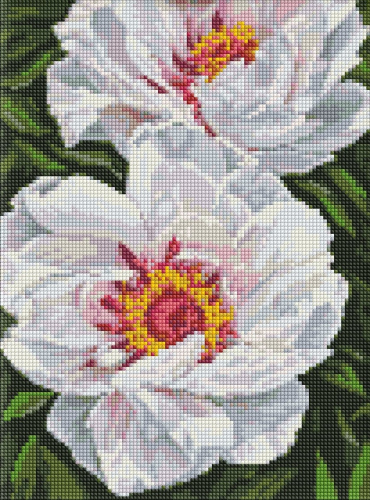 Алмазна мозаїка Білі півонії ©ArtAlekhina Ideyka
