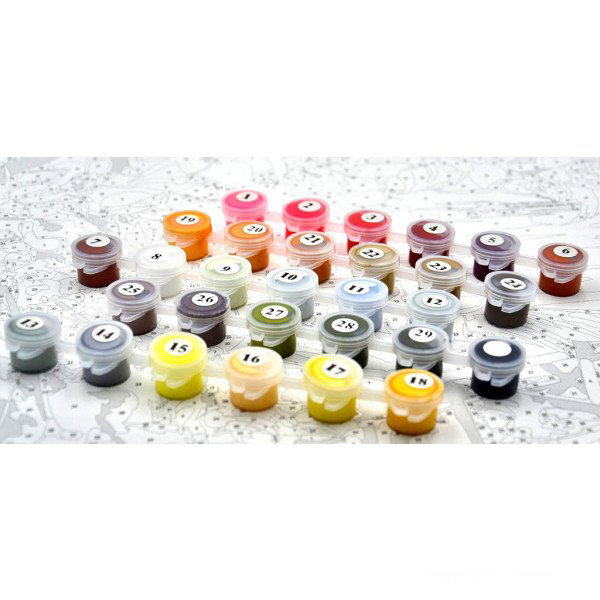 Картина за номерами Замок біля озера bk_1308 40x50 см BookOpt 