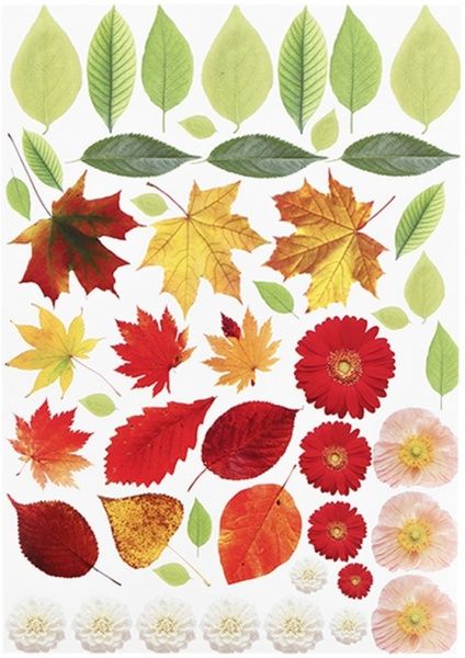 Набор текстурного картона Флора и Фауна А4 10 листов Лунапак