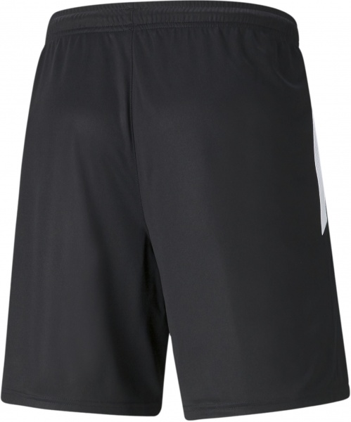 Шорты Puma TEAMLIGA TRAINING SHORTS 2 (OPEN POCKETS) 65766703 р. M черный