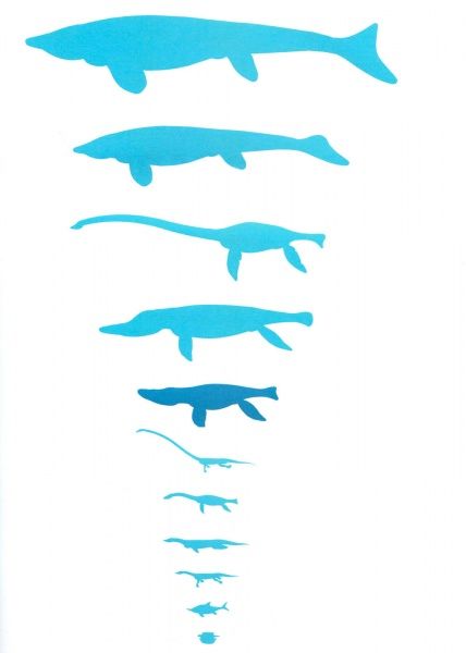 Книга Джузеппе Брилланте «Усе про динозаврів» 978-966-982-072-3