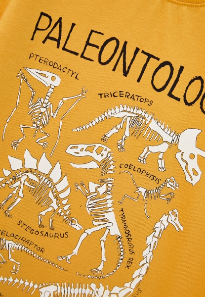 Футболка для мальчиков Роза 210105 р.146 горчичный 