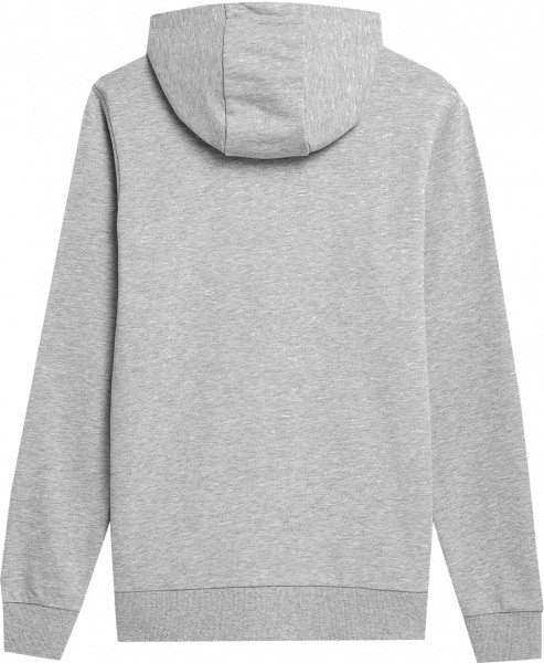 Джемпер 4F SWEATSHIRT 4FMM00TSWSM497-27M р. XS сірий