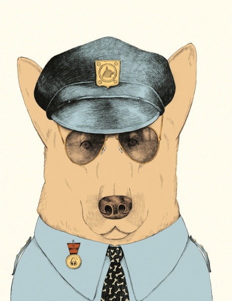 Книга Антонио Фиксетти «Собаки і коти з погляду науковців» 978-617-7853-73-1