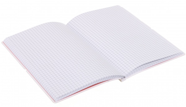 Книга для записей Летние нотки А5 96 листов