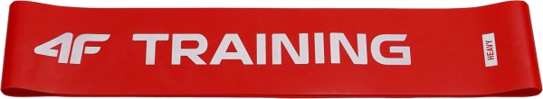 Набір стрічок для фітнесу 4F ACCESSORIES OTHER U034 4FSS23AAOTU034-90S різнокольоровий 