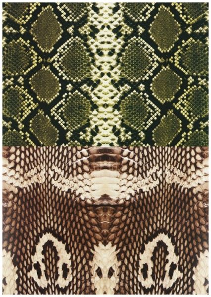 Набор текстурного картона Флора и Фауна А4 10 листов Лунапак