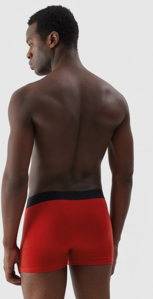 Труси 4F BOXER SHORTS M027 (2PACK) 4FAW23UBXSM027-91S р.L різнокольоровий