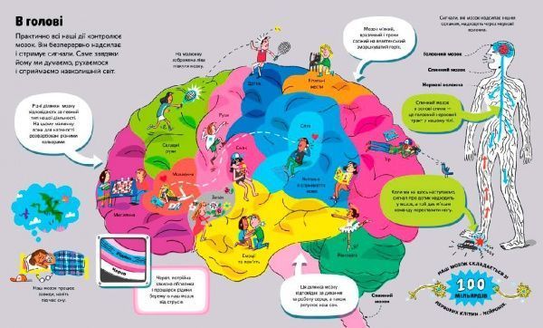 Книга Міна Лейсі «Велика книга про тіло» 978-617-7688-09-8