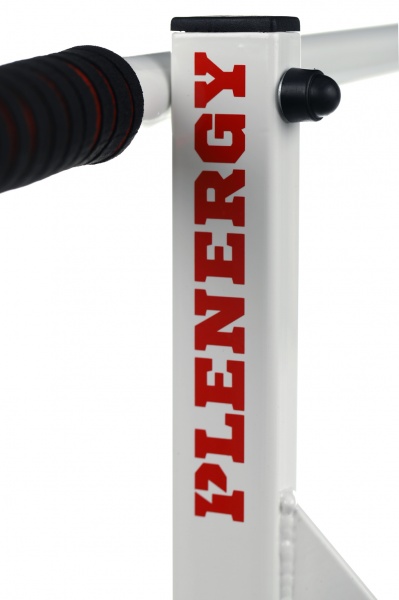 Турнік настінний PLENERGY TR12-WT S1 білий 110 см