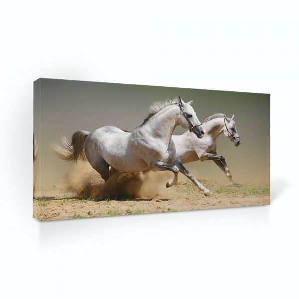 Репродукция Жизнь животных 96x48 см 