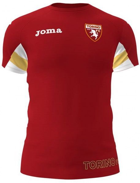 Футболка Joma TRN201011.19 р.L бордовий