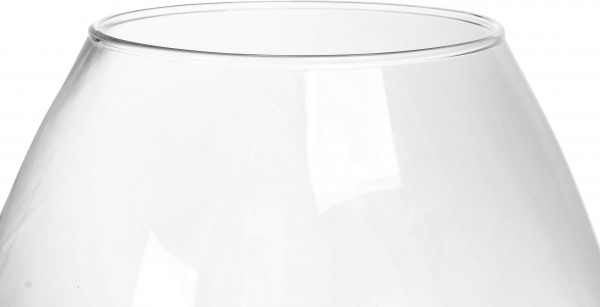 Ваза стеклянная Теамо Ярина 30 см прозрачная 