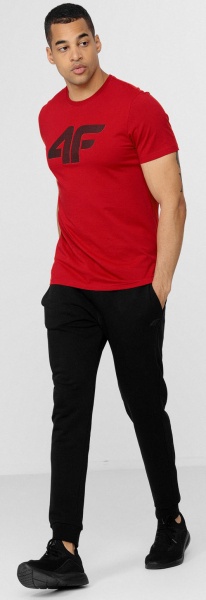 Штани 4F H4L22-SPMD350-20S р. 2XL чорний