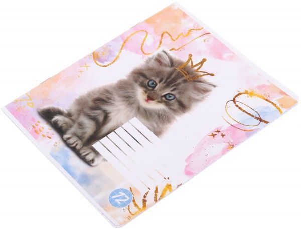 Зошит шкільний Cat 12 аркушів клітинка 1 Мрії збуваються