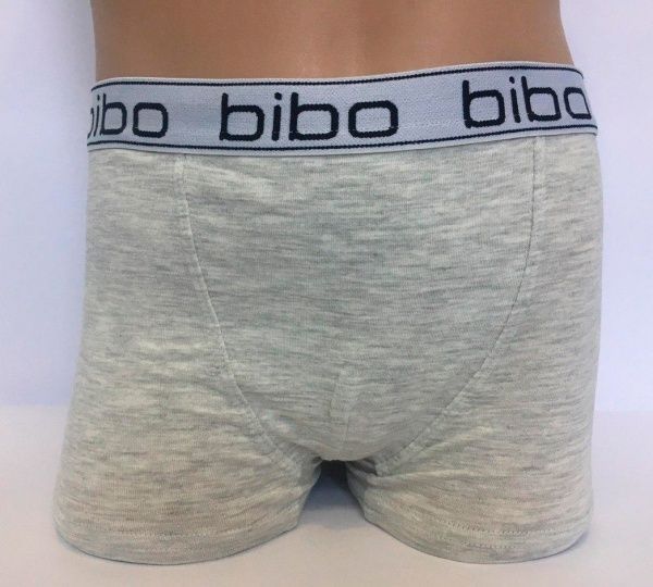 Трусы для мальчиков Bibo р.104 серый 24005 