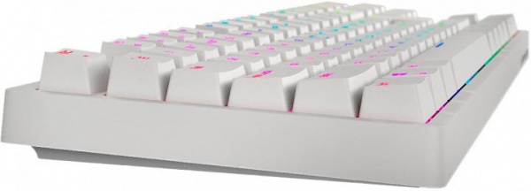 Клавиатура Hator Rockfall EVO TKL Kailh Optical (HTK-631) white 