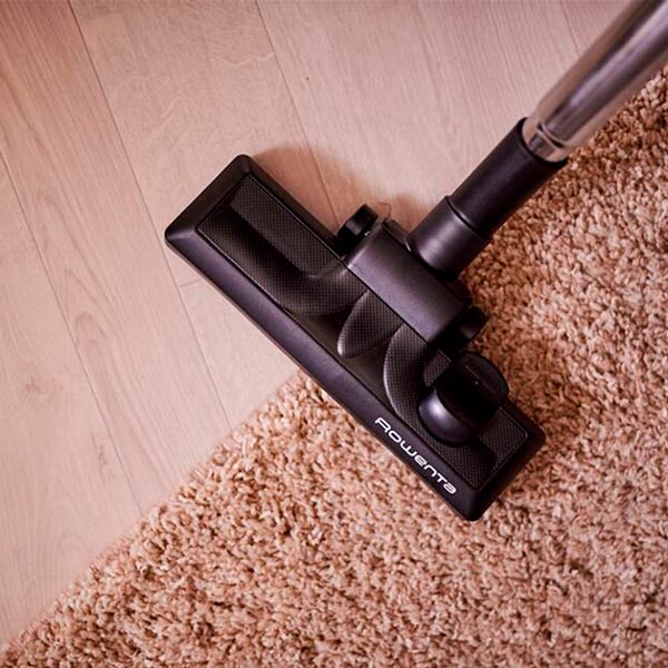 Пылесос Rowenta RO2957EA white 