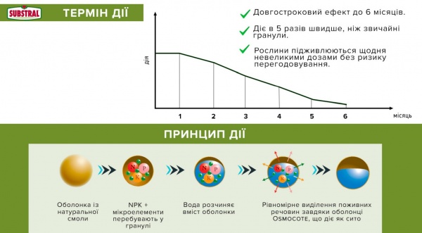 Добриво для хвойних рослин Substral Osmocote 10 кг 1347111