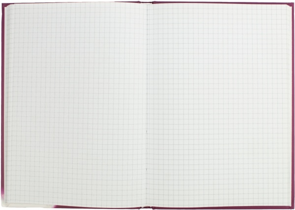 Блокнот Fіshbone А5 96 арк. Herlitz