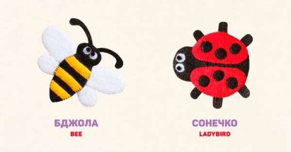 Книга Олена Забара «У траві. In the grass» 978-617-679-315-1