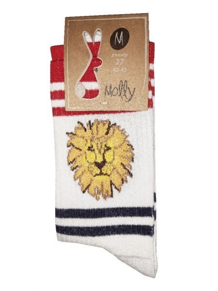Шкарпетки чоловічі Молли Лев р. 27 різнокольоровий 1 пар 