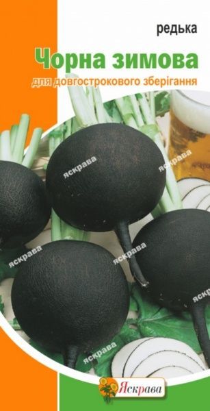 Насіння Яскрава редька Чорна зимова 2г (4823069801489)