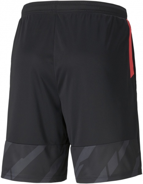 Шорти Puma individualCUP Shorts 65754643 р. S чорний