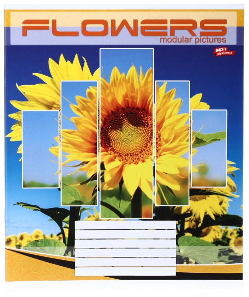 Зошит шкільний 24 аркуша у клітинку в асортименті Мрії збуваються