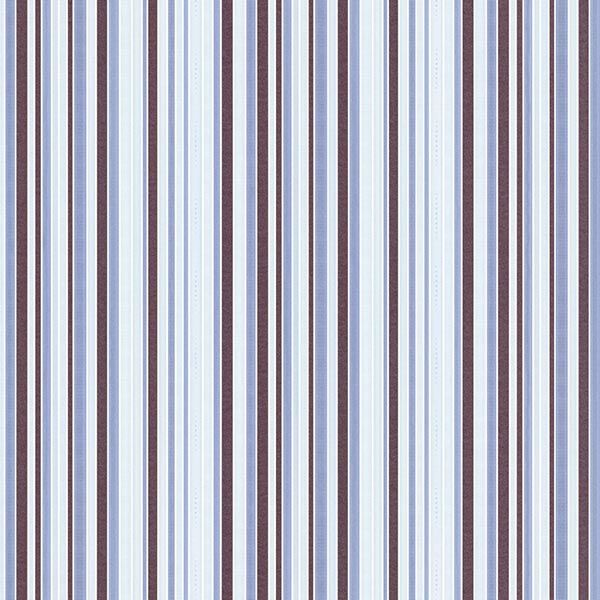 Едем Статус 967-26 1.06x10.05 м