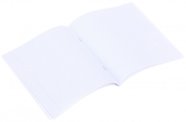 Тетрадь школьная с глитером 12 листов в клеточку в ассортименте Мечты сбываются