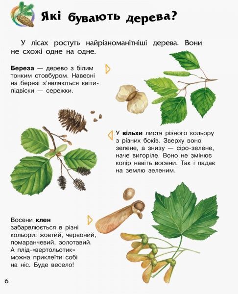 Книга Юлия Каспарова «Енциклопедія дошкільника: Ліс» 978-617-09-3619-6