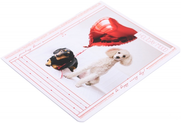 Тетрадь школьная Tadward коса