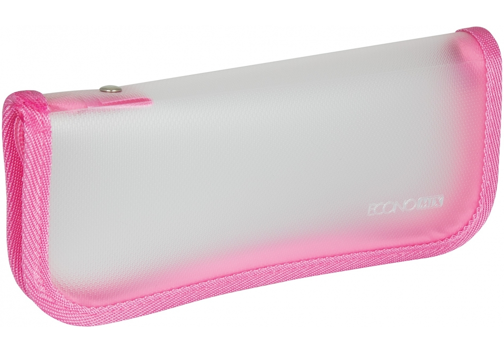 Пенал школьный DLE31646 Economix в ассортименте