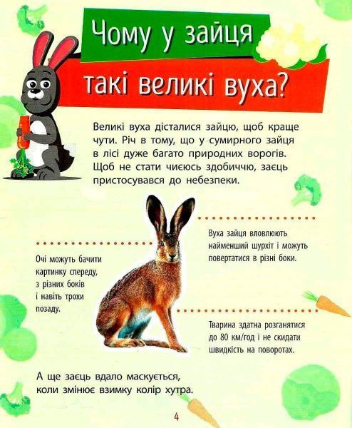 Книга «Книга Чомусики Животные» 978-617-09-3781-0