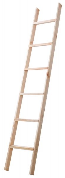 Драбина приставна 6 сходинок 2,5 м Сансервіс