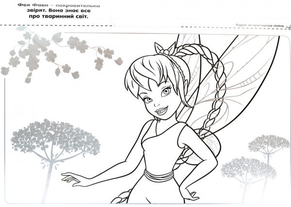 Раскраска «Феї» 978-617-500-929-1