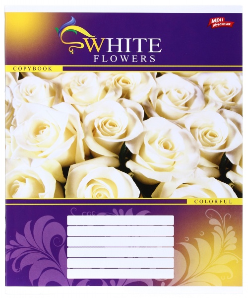 Зошит шкільний 24 аркуша у клітинку в асортименті Мрії збуваються