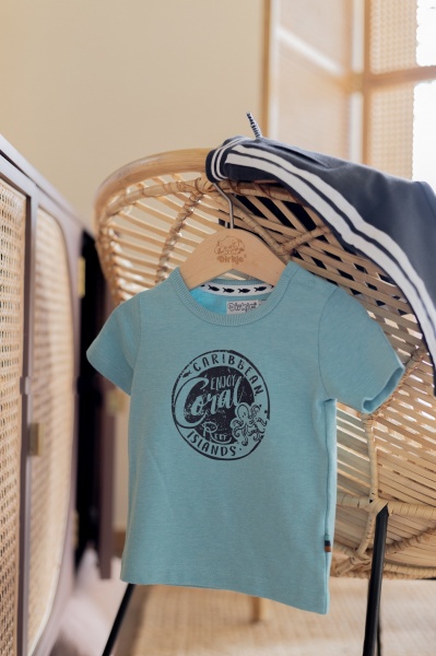 Футболка для хлопчиків Dirkje р.116 зелений V42575-35 