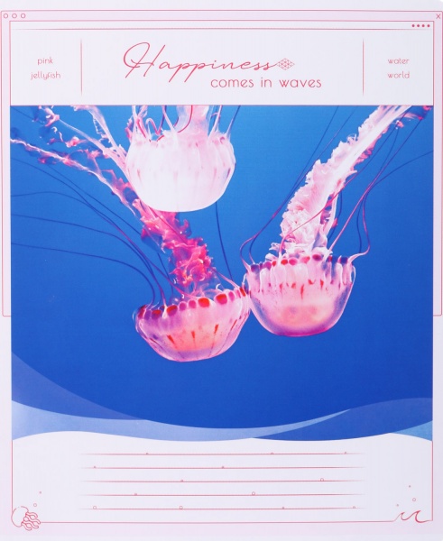 Тетрадь школьная Tadward коса