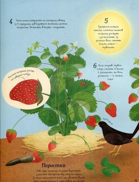 Книга Эмили Боун «Усе починається з насіння…як росте їжа» 978-617-7579-21-1