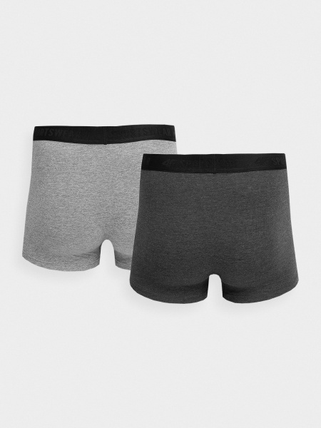Труси 4F 4FSS23UBXSM022-90M 2XL /сірий 2 шт.
