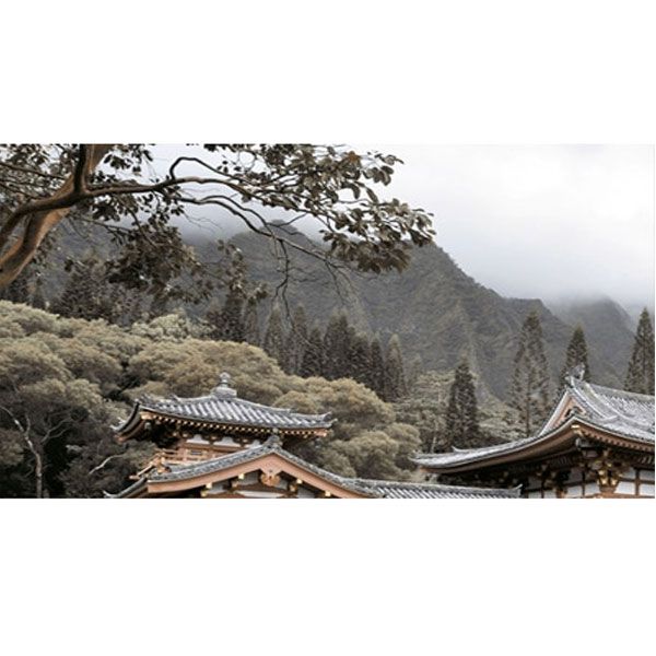 Декор Golden Tile Bamboo №1 Н71311 250x400 мм бежевий