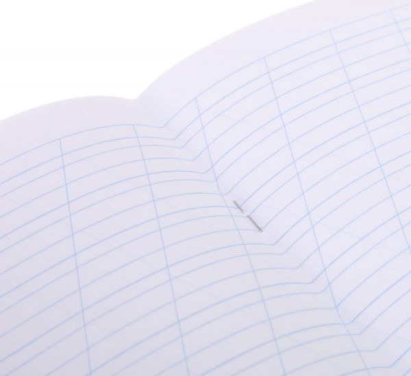 Тетрадь школьная 12 листов косая линия 2021_2 Nota Bene