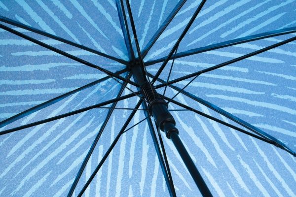 Парасолька-тростина Susino Rain 21005 синій 